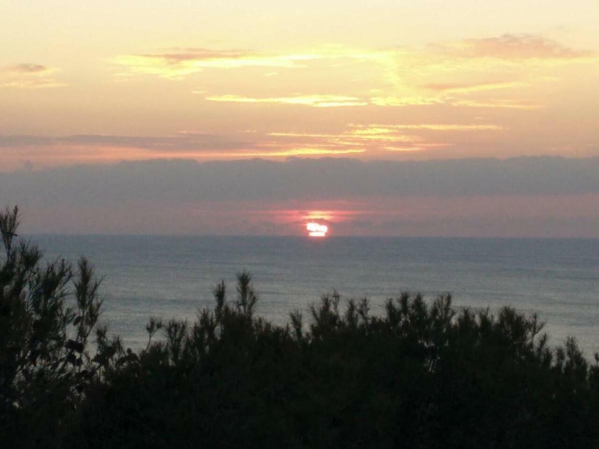 Oasi Del Cuore - Graziose Camere Con Vista Mare A 7 Min Dal Mare Di 카스티글리온셀로 외부 사진
